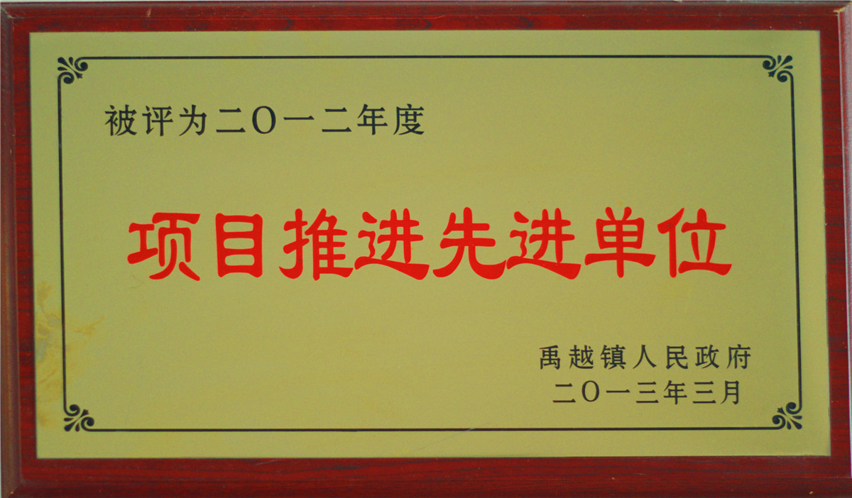 项目推进先进单位